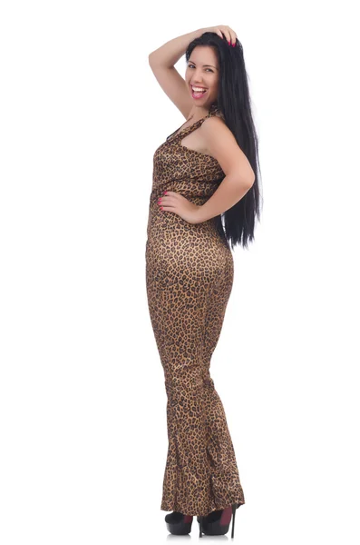 Takım elbise modeli leoparı yazdırır — Stok fotoğraf