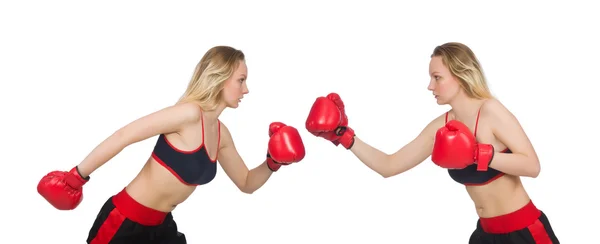 Woman boxer on white background — Stock Photo, Image