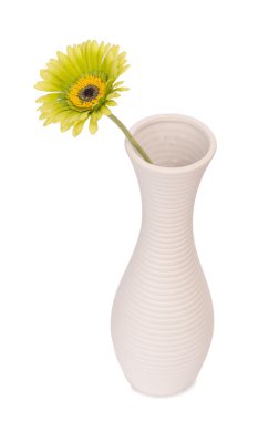 Gerbera çiçek vazosu