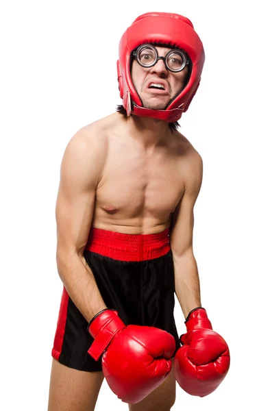 Boxer drôle avec des gants rouges — Photo