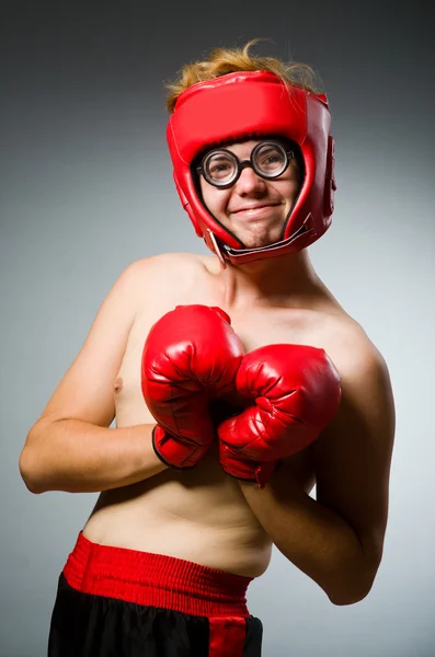 Boxer drôle avec des gants rouges — Photo