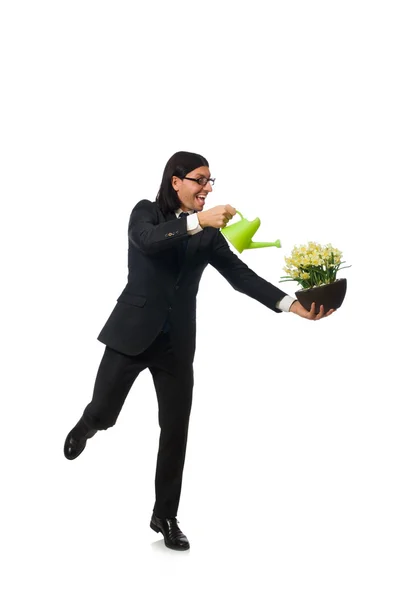 Όμορφος επιχειρηματίας κρατώντας λουλούδια άνοιξη που απομονώνονται σε λευκό — Φωτογραφία Αρχείου