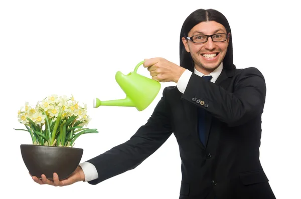 Stilig affärsman holding vårblommor isolerad på vit — Stockfoto