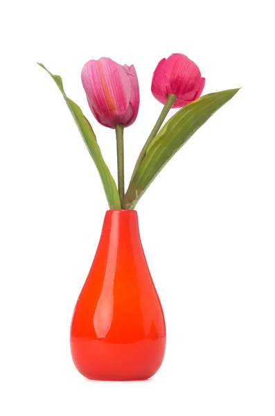 Vaso com tulipas coloridas sobre branco — Fotografia de Stock