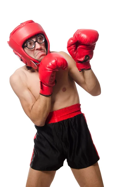 Boxer drôle avec gants rouges — Photo