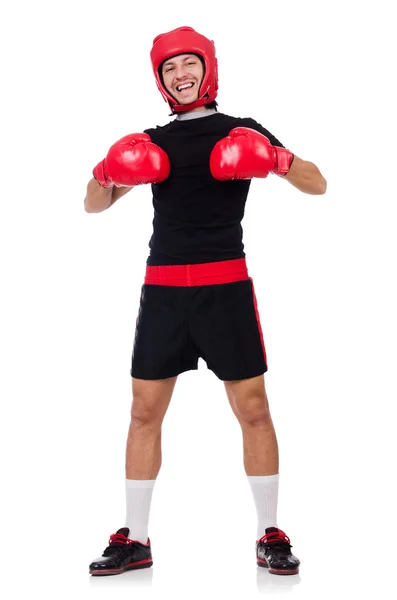 Boxer drôle avec gants rouges — Photo