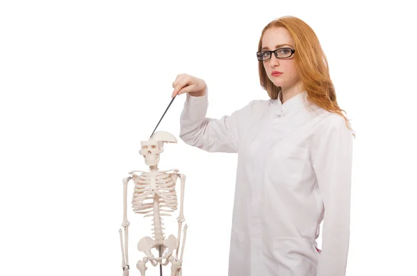 Young female doctor with skeleton isolated on white — Stock Photo, Image