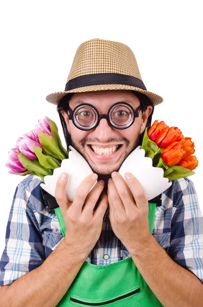 Młody ogrodnik śmieszne z tulipany na białym tle oin biały — Zdjęcie stockowe