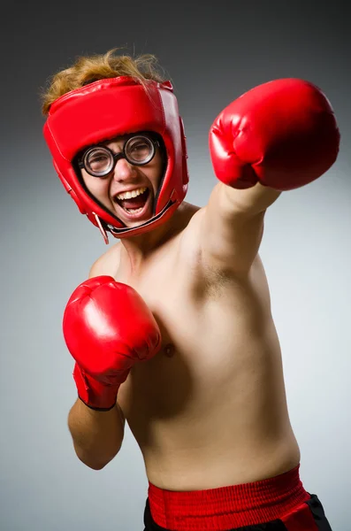 Boxer drôle dans le concept de sport — Photo