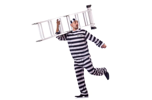 Prison inmate isolated on the white — Stock Photo, Image