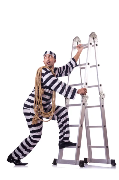 Prison inmate isolated on the white — Stock Photo, Image