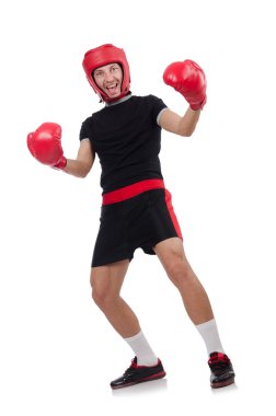 Beyaz üzerine komik boksör