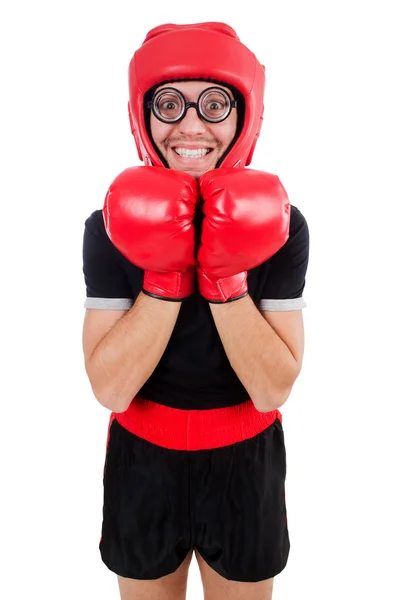 Funny boxer izolované na bílém — Stock fotografie