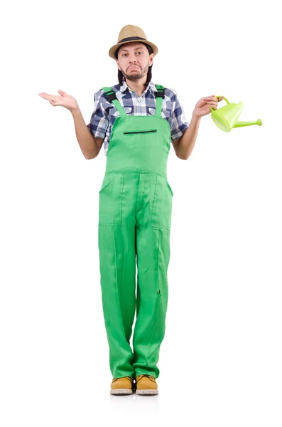 Young cheerful gardener with watering can isolated on white — Stock Photo, Image