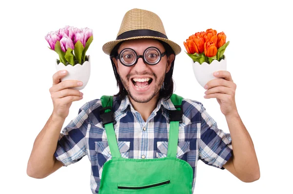 Młody ogrodnik śmieszne z tulipany — Zdjęcie stockowe