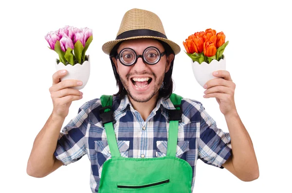 Junger lustiger Gärtner mit Tulpen — Stockfoto