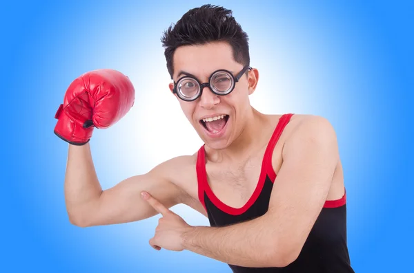 Zabawny bokser przeciwko gradientu — Zdjęcie stockowe