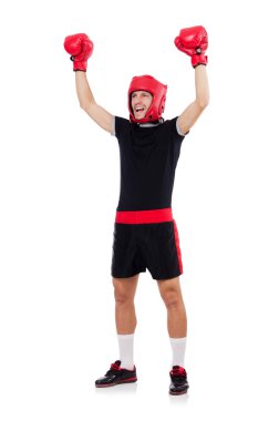 Komik boksör izole