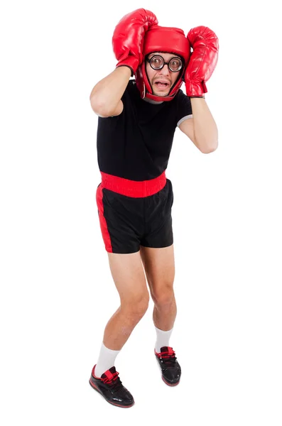 Rolig boxer isolerade — Stockfoto