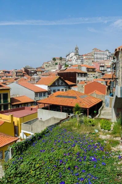 Malebný pohled na město Porto — Stock fotografie