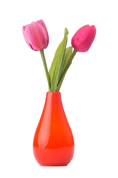 Vaso com tulipas coloridas sobre branco — Fotografia de Stock