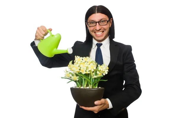 Stilig affärsman holding vårblommor isolerad på vit — Stockfoto