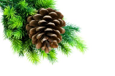 Beyaz arka planda izole edilmiş Noel ağacı