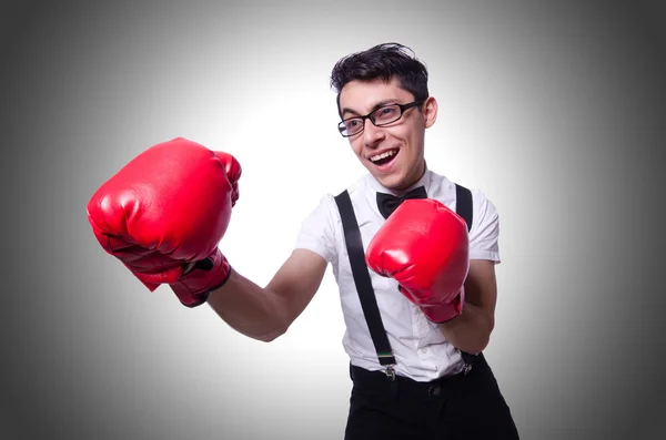 Смешной боксер против градиента — стоковое фото