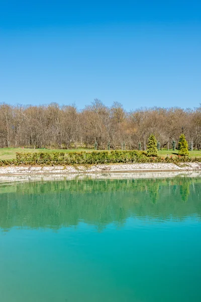 Bosque cerca de estanque de agua agradable — Foto de Stock