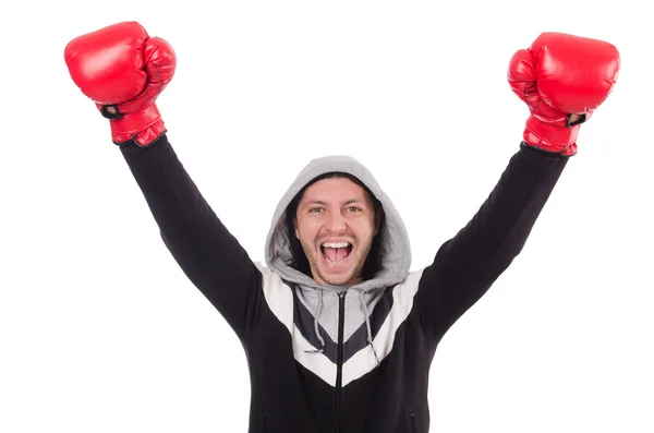 Lustige Boxer isoliert auf dem weißen — Stockfoto