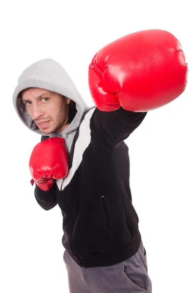 Lustige Boxer isoliert auf dem weißen — Stockfoto