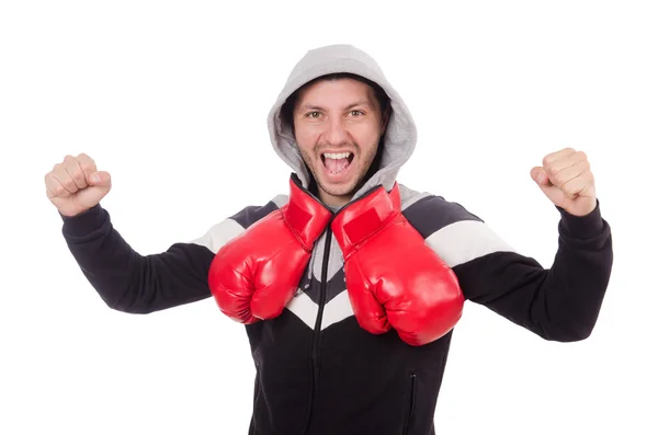 Boxer drôle isolé sur le blanc — Photo