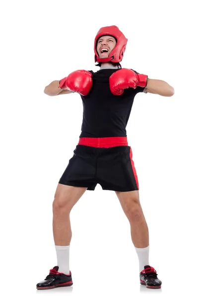 Funny boxer isolated on the white — Stock Photo, Image