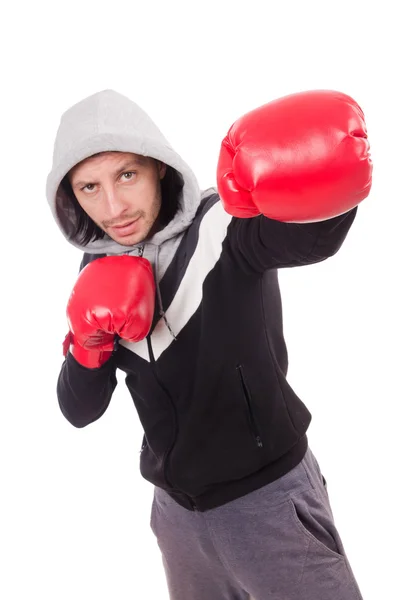 Funny boxer izolované na bílém — Stock fotografie