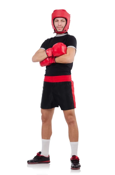 Lustige Boxer isoliert auf dem weißen — Stockfoto