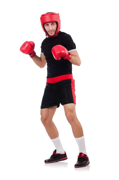 Funny boxer isolated on the white — Stock Photo, Image