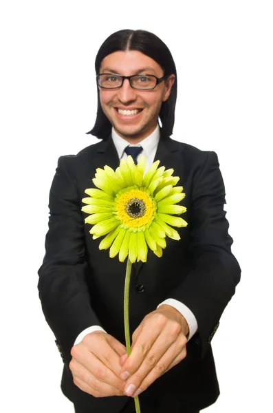 Bonito empresário com flor isolada em branco — Fotografia de Stock