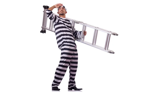 Prison inmate isolated on the white — Stock Photo, Image