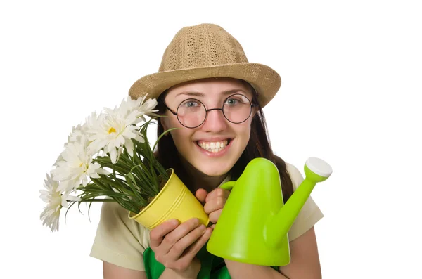 白地に植物の水遣りの女の子 — ストック写真