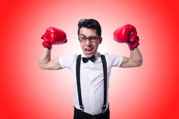 Boxer engraçado contra o gradiente — Fotografia de Stock