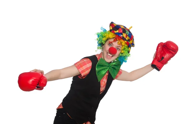 Female clown with box gloves — Stock Photo, Image