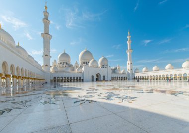 Sheikh zayed Camisi