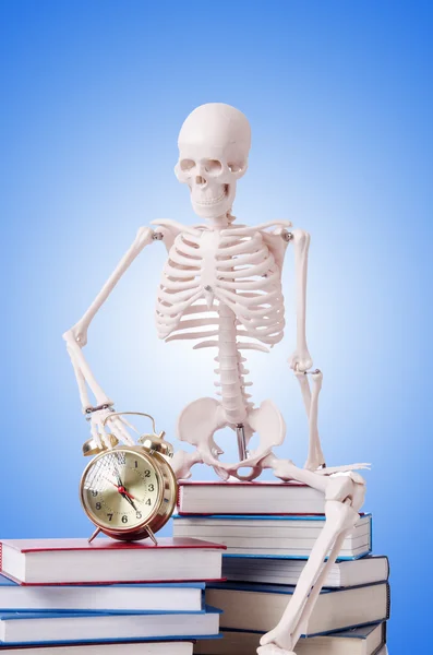 Skeleton reading books against gradient — Stock Photo, Image