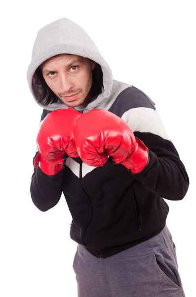 Rolig boxer isolerade — Stockfoto