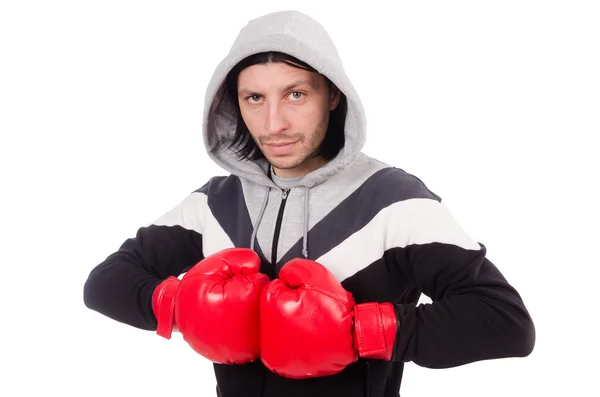 Zabawny bokser na białym tle — Zdjęcie stockowe