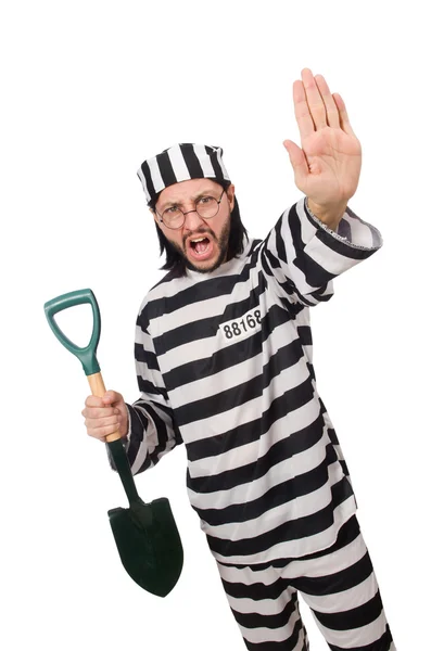 Prison inmate with spade isolated on white — Stock Photo, Image