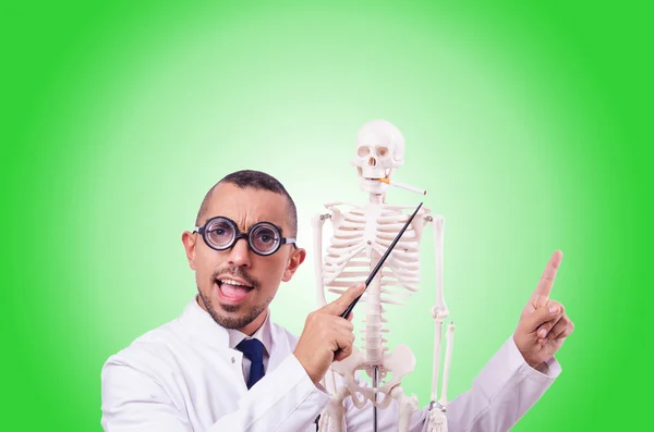 Смешной доктор со скелетом против градиента — стоковое фото