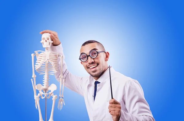 Divertido doctor con esqueleto contra el gradiente — Foto de Stock