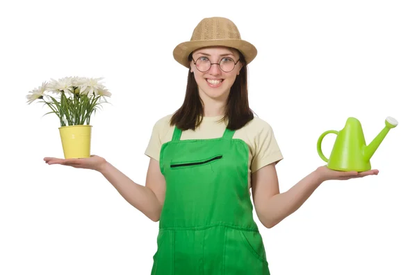 Mädchen gießt Pflanzen — Stockfoto
