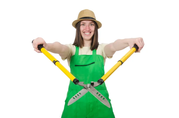 Young woman with shears — Stock Photo, Image